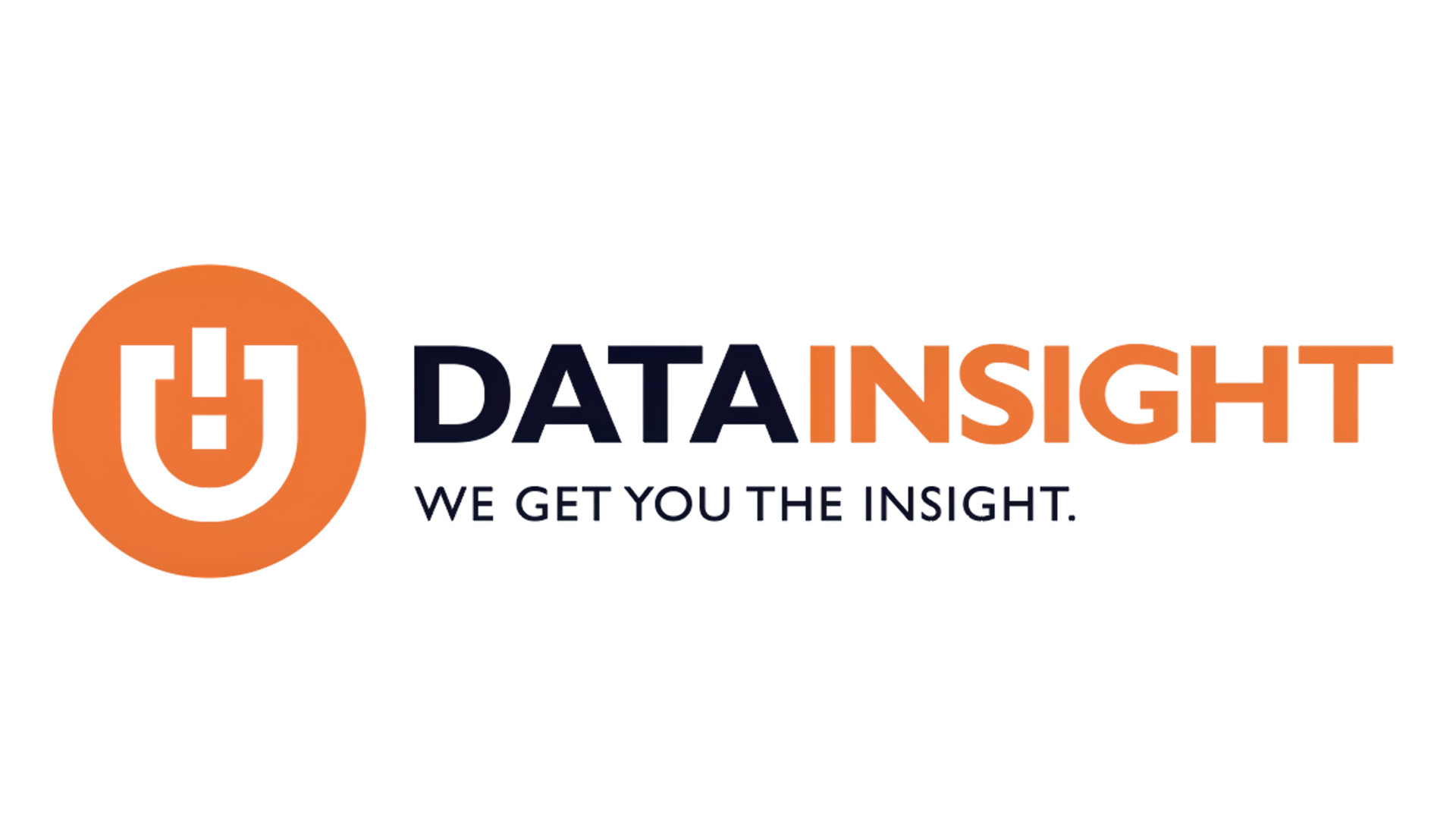 DATA INSIGHT Logo